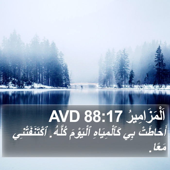 اَلْمَزَامِيرُ 88:17 AVD Bible Study