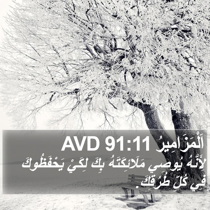 اَلْمَزَامِيرُ 91:11 AVD Bible Study