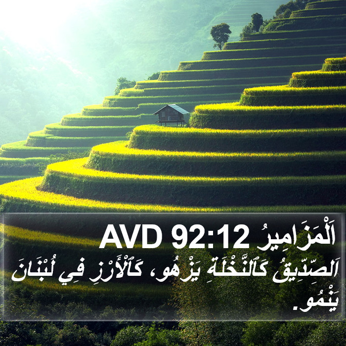 اَلْمَزَامِيرُ 92:12 AVD Bible Study
