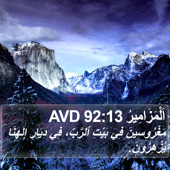 اَلْمَزَامِيرُ 92:13 AVD Bible Study