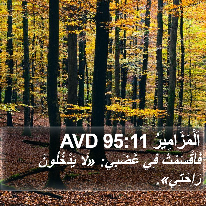 اَلْمَزَامِيرُ 95:11 AVD Bible Study