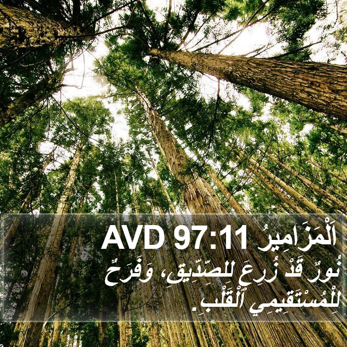 اَلْمَزَامِيرُ 97:11 AVD Bible Study