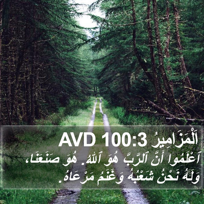 اَلْمَزَامِيرُ 100:3 AVD Bible Study