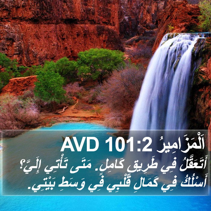 اَلْمَزَامِيرُ 101:2 AVD Bible Study