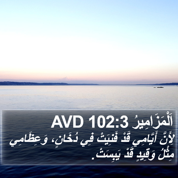 اَلْمَزَامِيرُ 102:3 AVD Bible Study