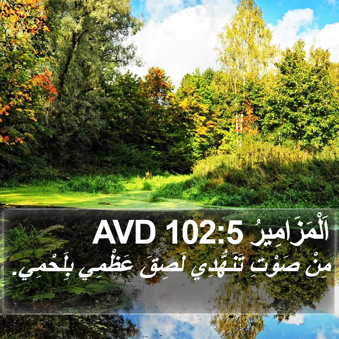 اَلْمَزَامِيرُ 102:5 AVD Bible Study
