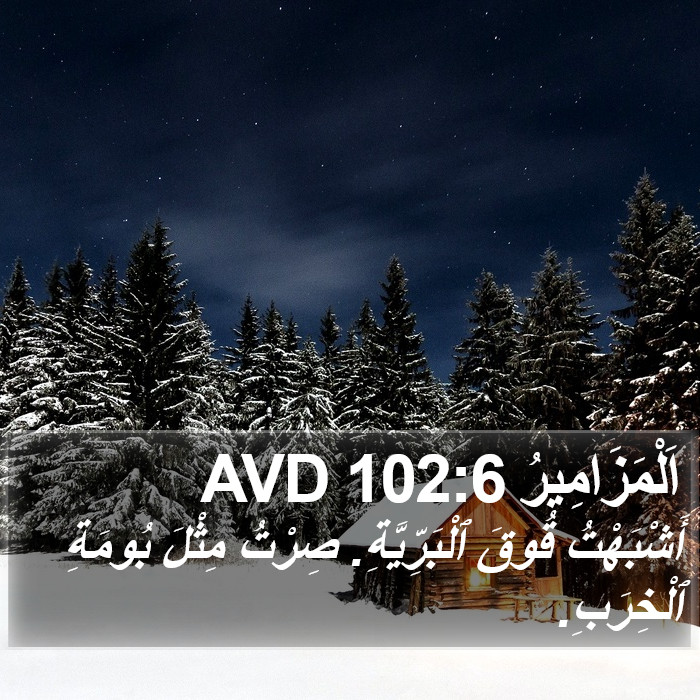 اَلْمَزَامِيرُ 102:6 AVD Bible Study