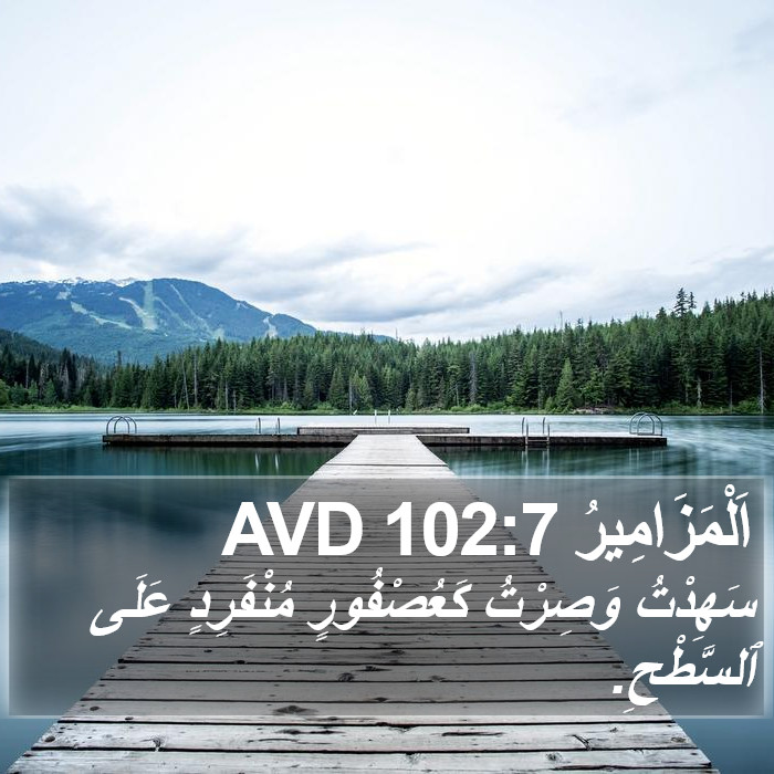 اَلْمَزَامِيرُ 102:7 AVD Bible Study