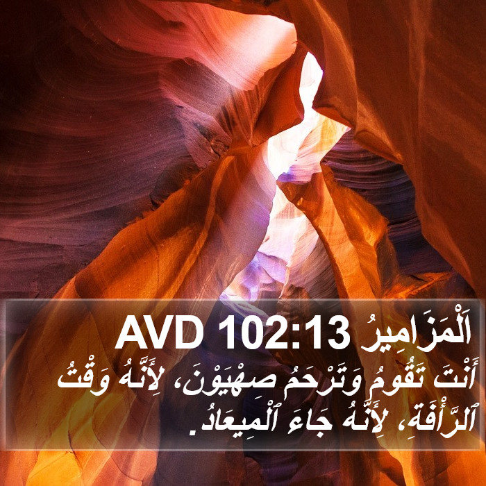 اَلْمَزَامِيرُ 102:13 AVD Bible Study
