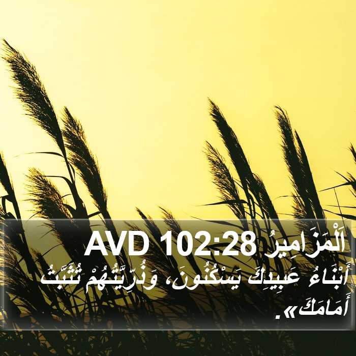 اَلْمَزَامِيرُ 102:28 AVD Bible Study