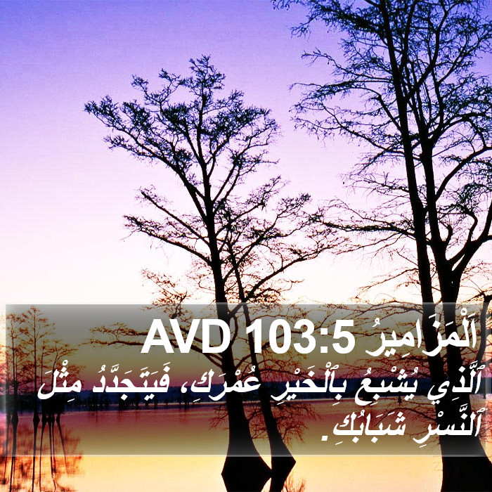 اَلْمَزَامِيرُ 103:5 AVD Bible Study