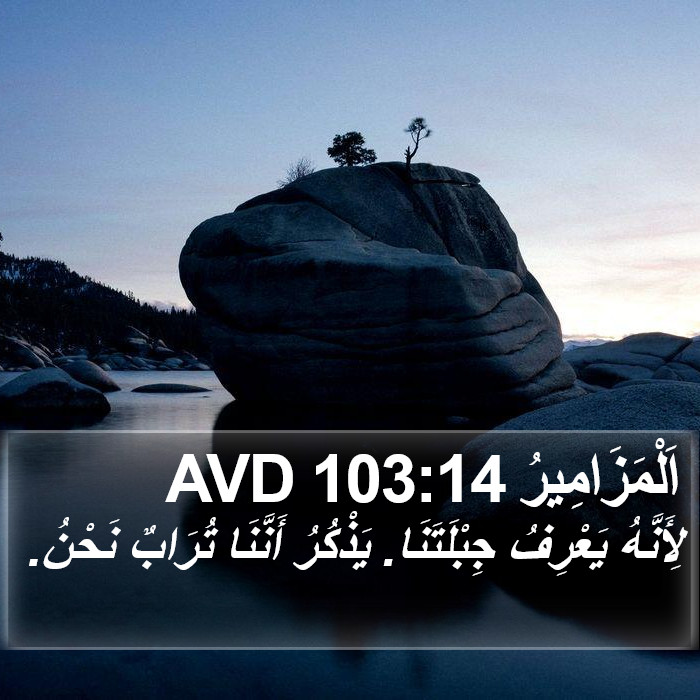 اَلْمَزَامِيرُ 103:14 AVD Bible Study