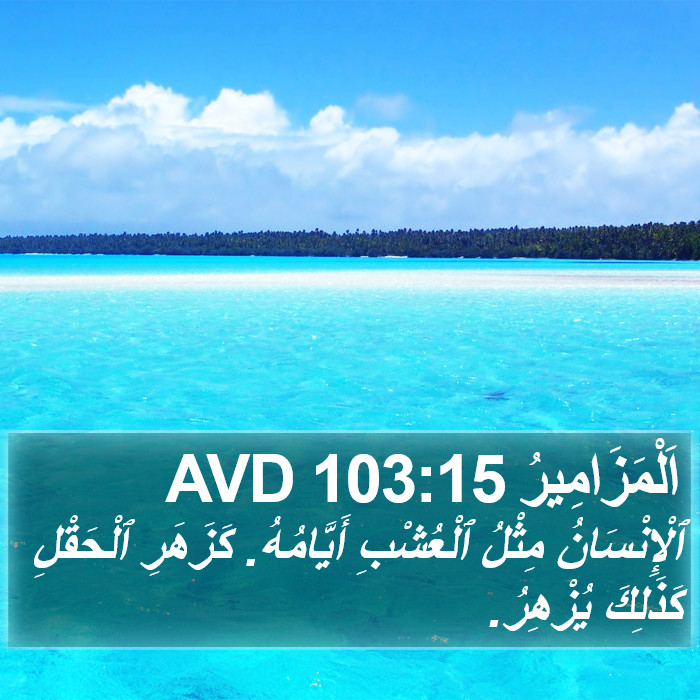 اَلْمَزَامِيرُ 103:15 AVD Bible Study