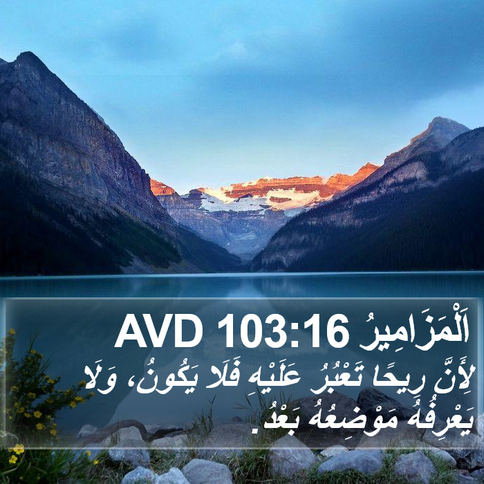 اَلْمَزَامِيرُ 103:16 AVD Bible Study