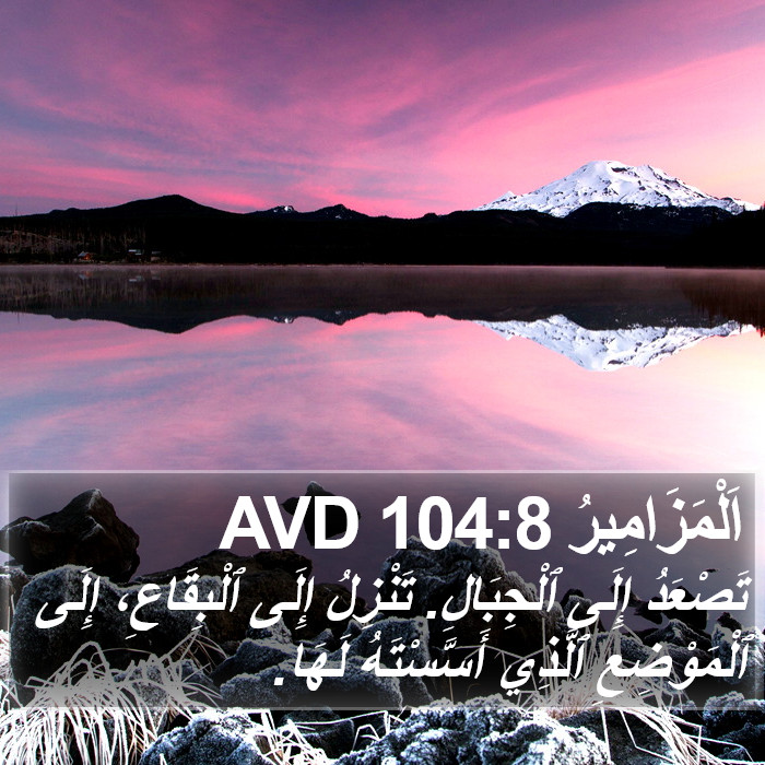 اَلْمَزَامِيرُ 104:8 AVD Bible Study