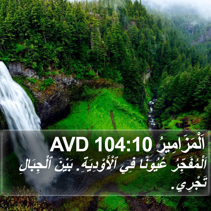 اَلْمَزَامِيرُ 104:10 AVD Bible Study