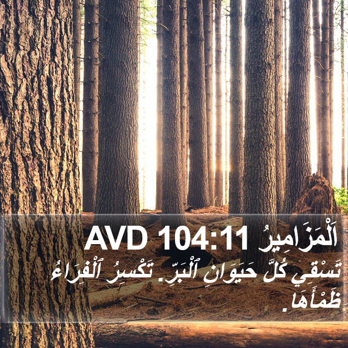 اَلْمَزَامِيرُ 104:11 AVD Bible Study