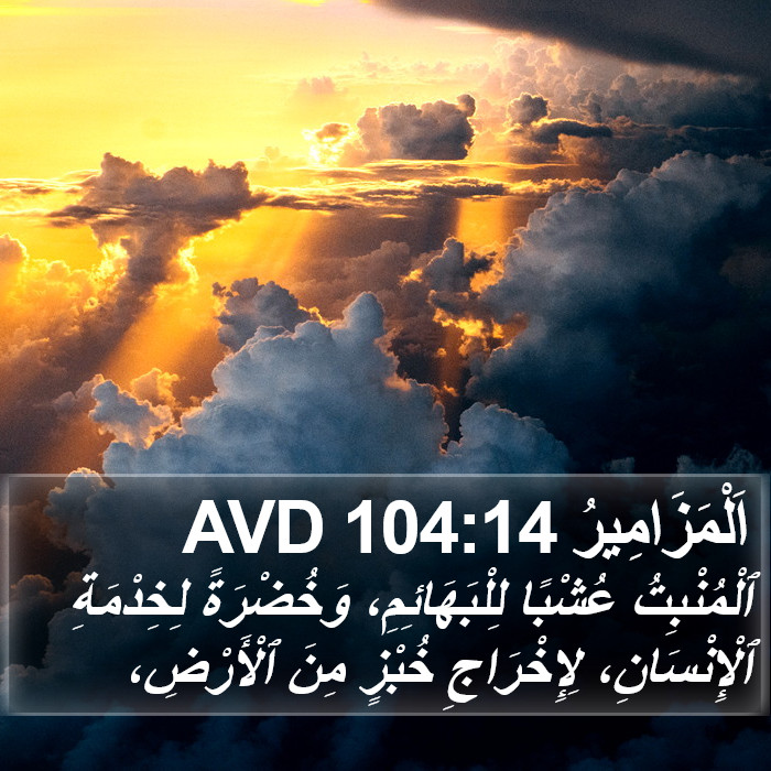 اَلْمَزَامِيرُ 104:14 AVD Bible Study