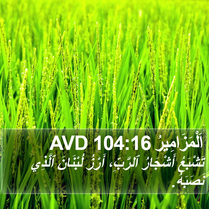 اَلْمَزَامِيرُ 104:16 AVD Bible Study