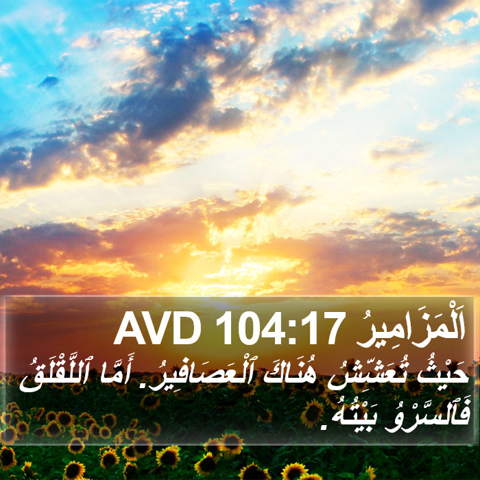 اَلْمَزَامِيرُ 104:17 AVD Bible Study