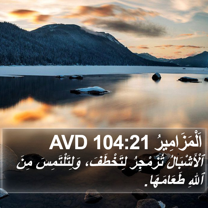 اَلْمَزَامِيرُ 104:21 AVD Bible Study