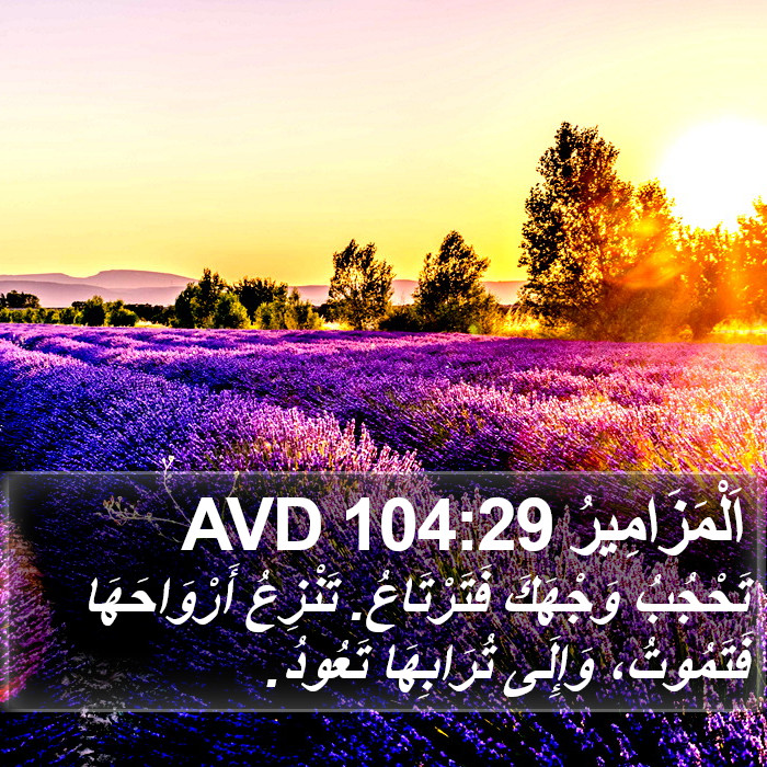 اَلْمَزَامِيرُ 104:29 AVD Bible Study