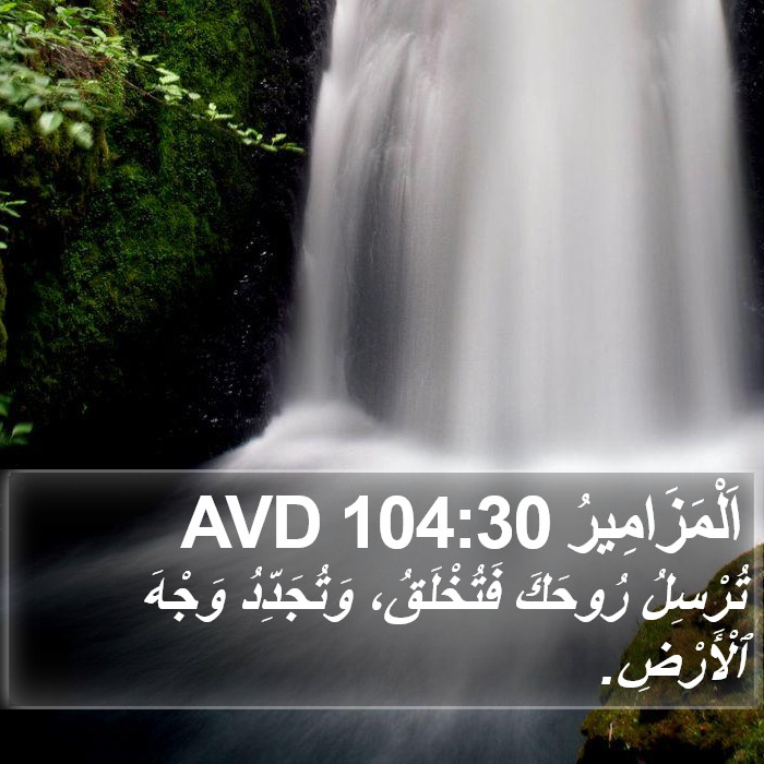 اَلْمَزَامِيرُ 104:30 AVD Bible Study
