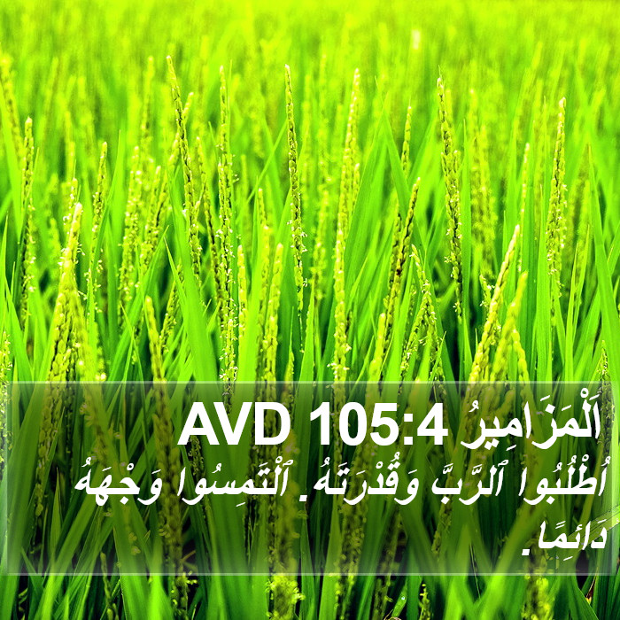 اَلْمَزَامِيرُ 105:4 AVD Bible Study