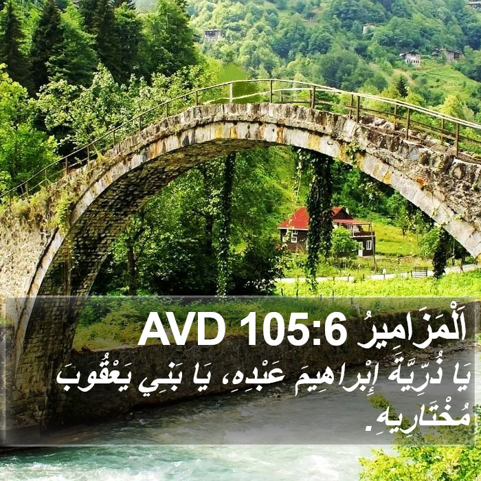 اَلْمَزَامِيرُ 105:6 AVD Bible Study