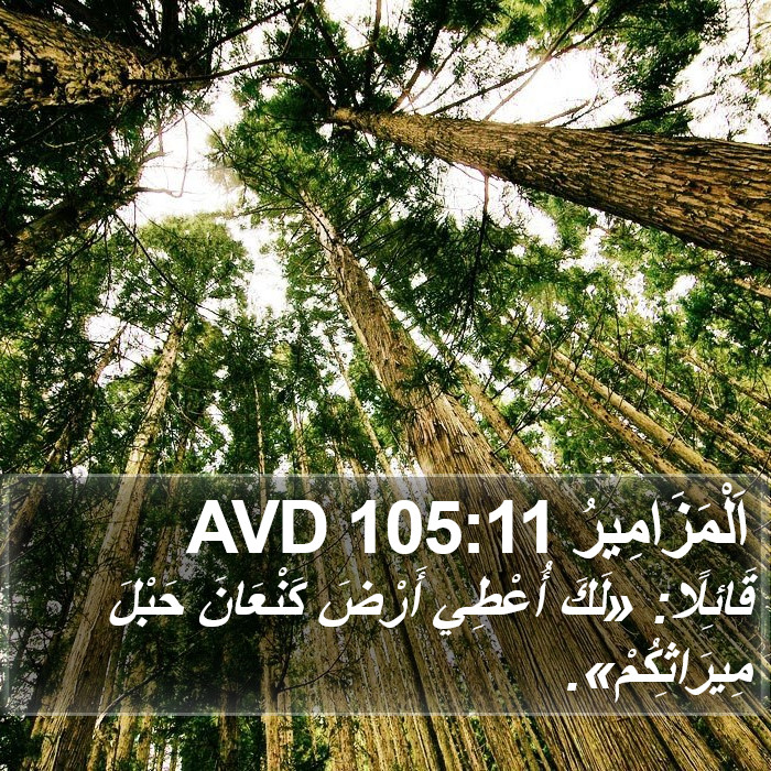 اَلْمَزَامِيرُ 105:11 AVD Bible Study