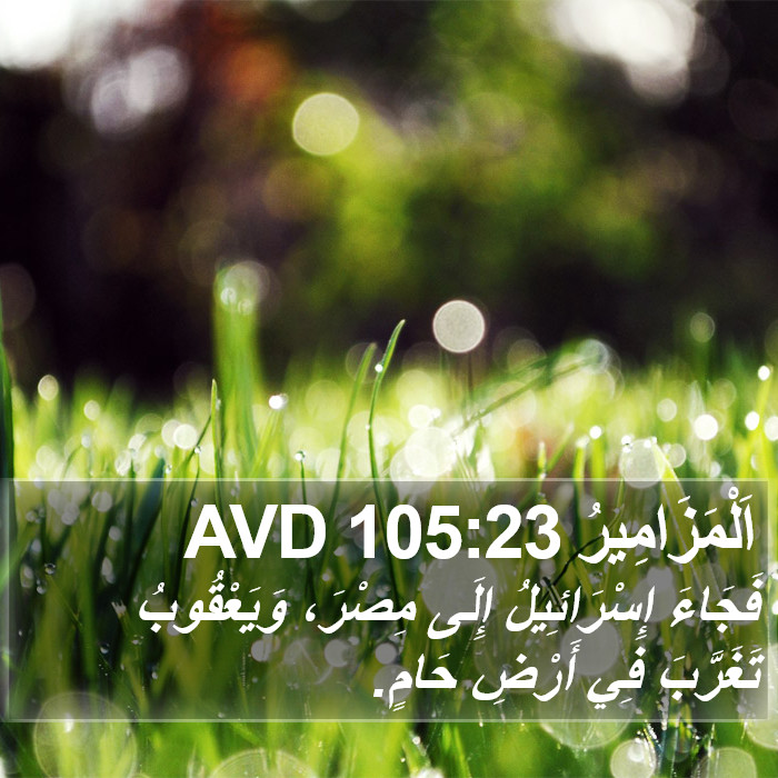 اَلْمَزَامِيرُ 105:23 AVD Bible Study