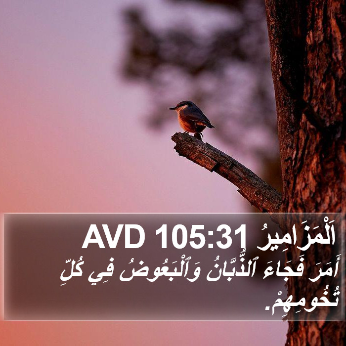 اَلْمَزَامِيرُ 105:31 AVD Bible Study