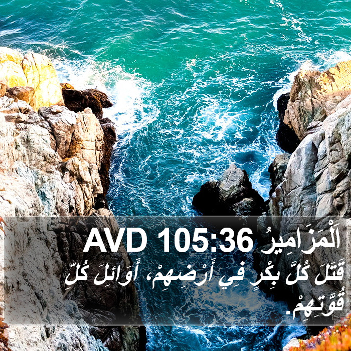 اَلْمَزَامِيرُ 105:36 AVD Bible Study