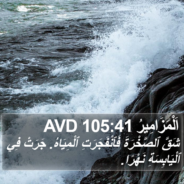 اَلْمَزَامِيرُ 105:41 AVD Bible Study