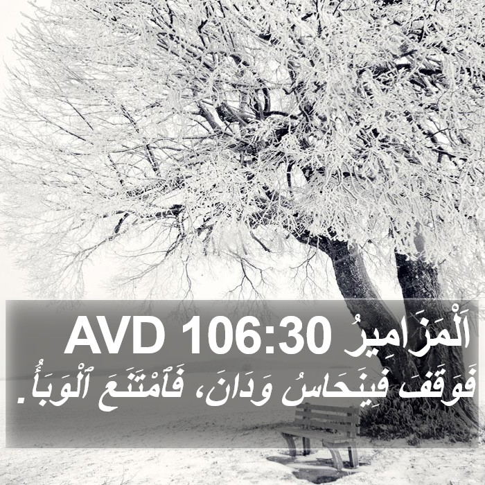 اَلْمَزَامِيرُ 106:30 AVD Bible Study