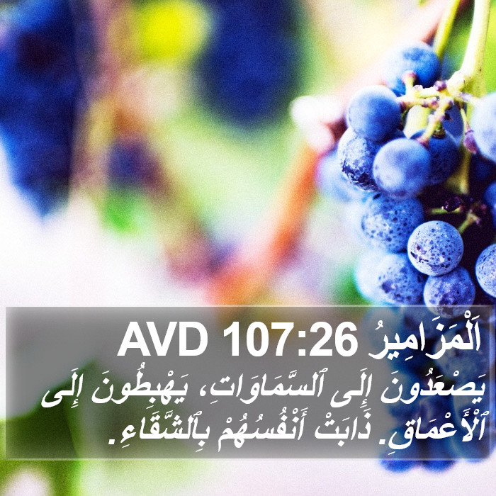 اَلْمَزَامِيرُ 107:26 AVD Bible Study