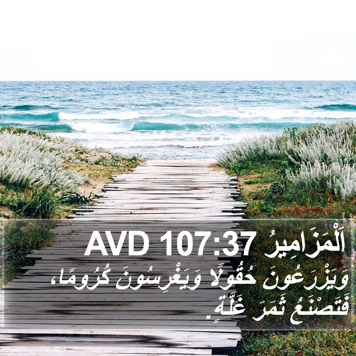 اَلْمَزَامِيرُ 107:37 AVD Bible Study