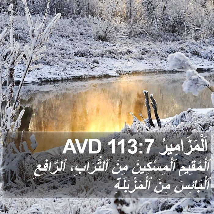اَلْمَزَامِيرُ 113:7 AVD Bible Study