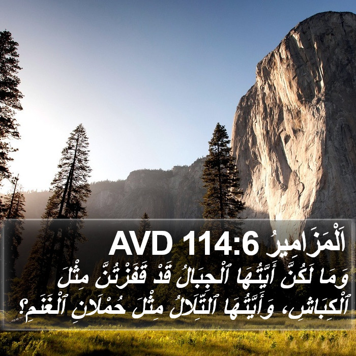 اَلْمَزَامِيرُ 114:6 AVD Bible Study