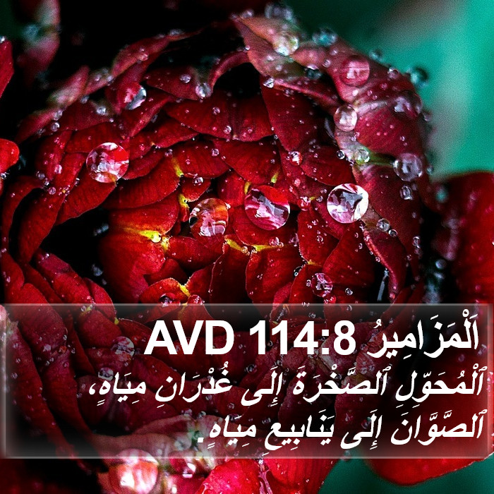 اَلْمَزَامِيرُ 114:8 AVD Bible Study