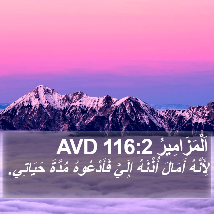اَلْمَزَامِيرُ 116:2 AVD Bible Study