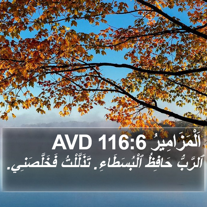 اَلْمَزَامِيرُ 116:6 AVD Bible Study