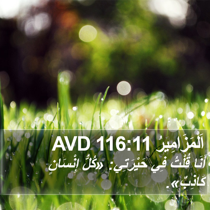 اَلْمَزَامِيرُ 116:11 AVD Bible Study