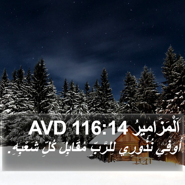 اَلْمَزَامِيرُ 116:14 AVD Bible Study