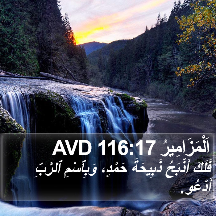 اَلْمَزَامِيرُ 116:17 AVD Bible Study