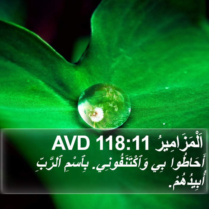 اَلْمَزَامِيرُ 118:11 AVD Bible Study