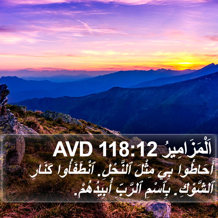 اَلْمَزَامِيرُ 118:12 AVD Bible Study