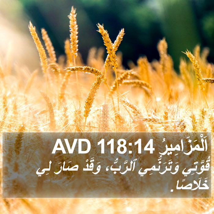 اَلْمَزَامِيرُ 118:14 AVD Bible Study