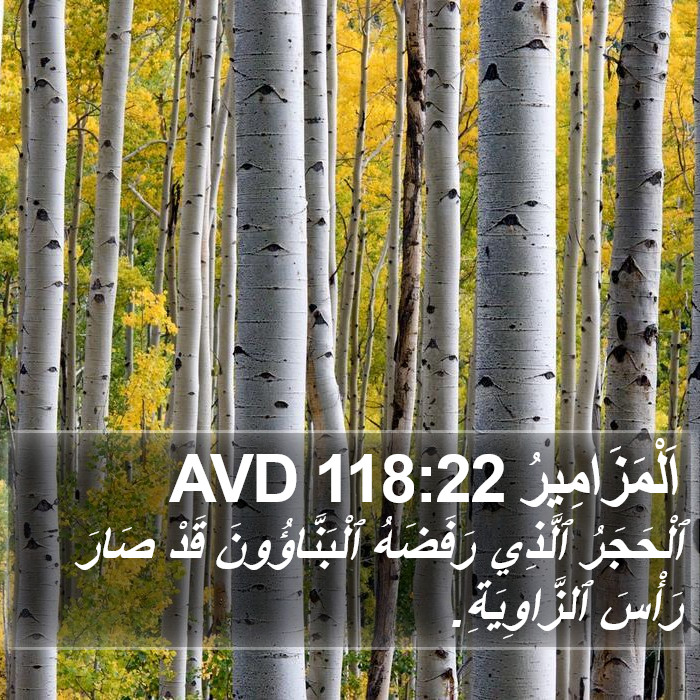 اَلْمَزَامِيرُ 118:22 AVD Bible Study