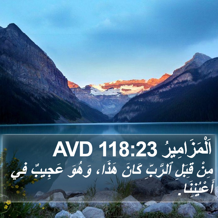 اَلْمَزَامِيرُ 118:23 AVD Bible Study